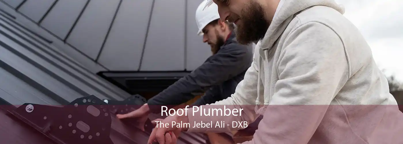 Roof Plumber The Palm Jebel Ali - DXB