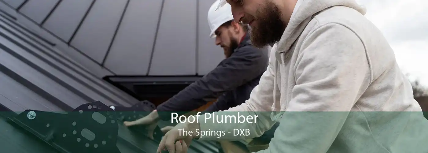 Roof Plumber The Springs - DXB