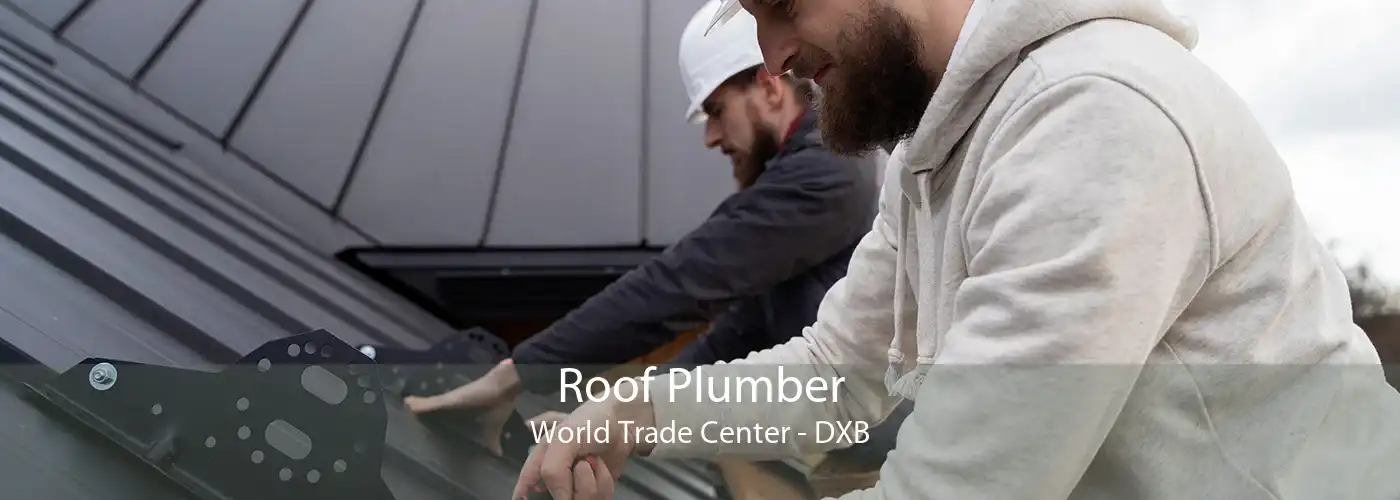 Roof Plumber World Trade Center - DXB