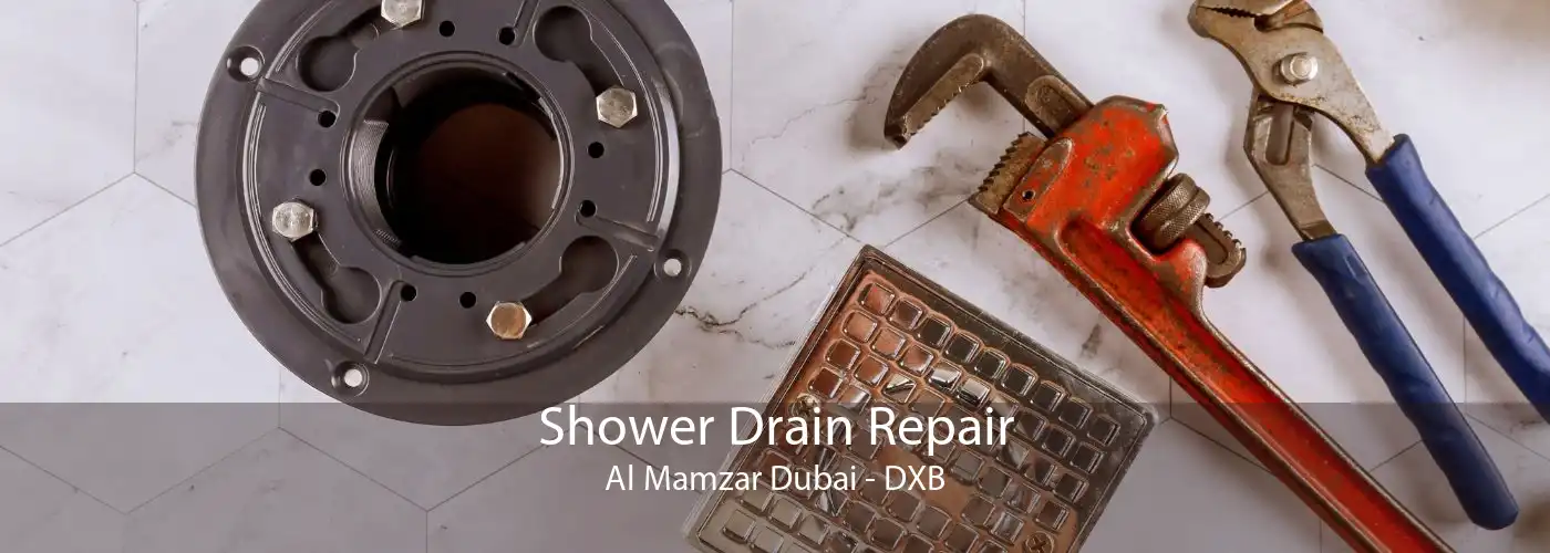 Shower Drain Repair Al Mamzar Dubai - DXB
