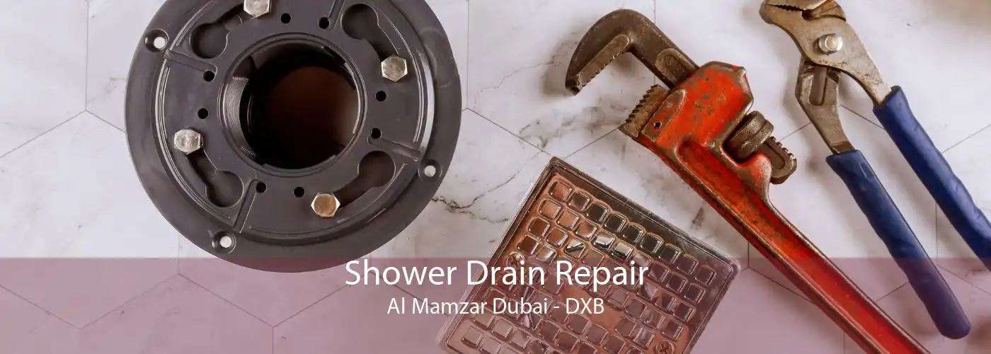Shower Drain Repair Al Mamzar Dubai - DXB