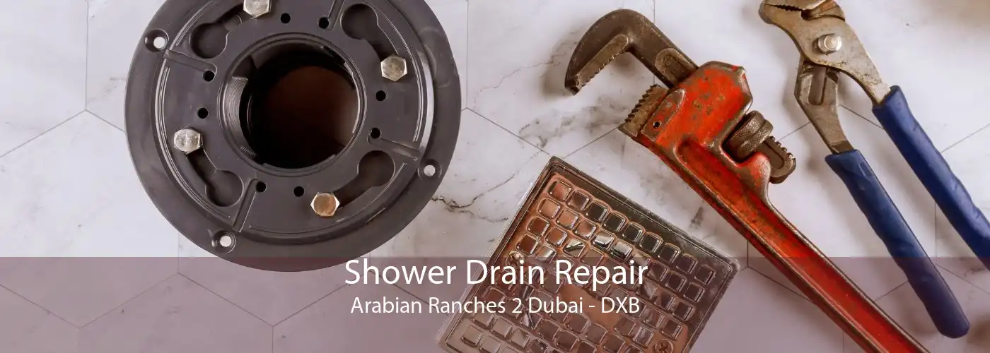 Shower Drain Repair Arabian Ranches 2 Dubai - DXB