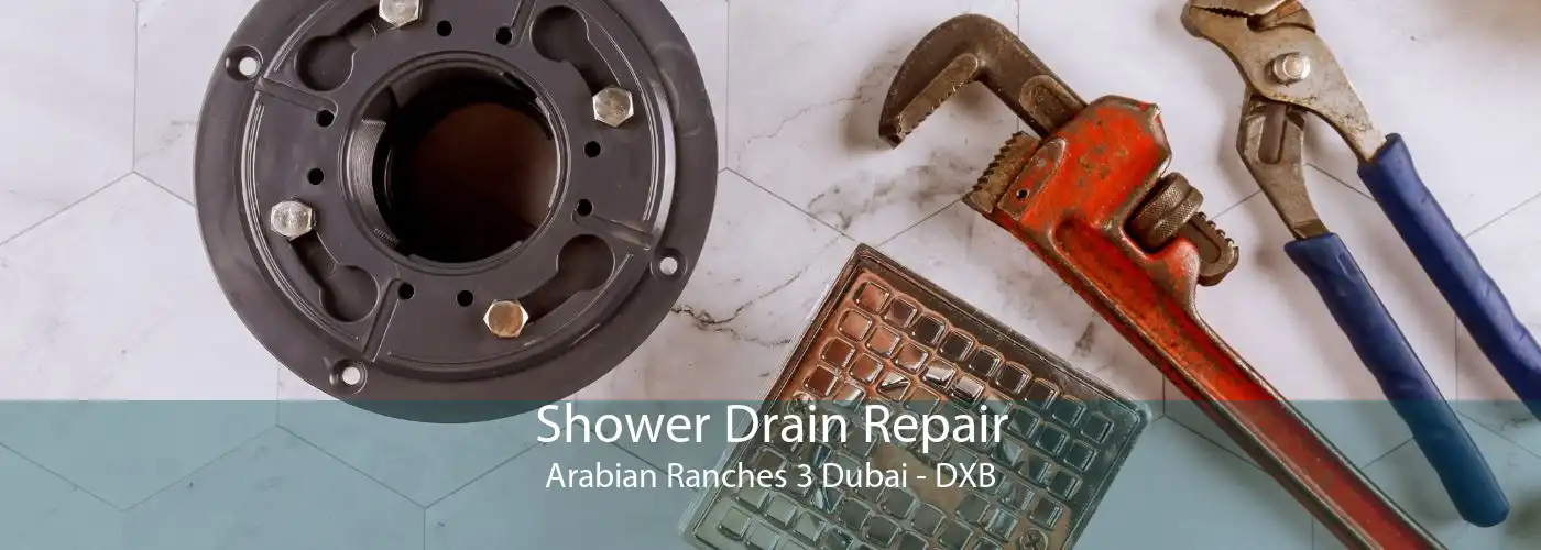 Shower Drain Repair Arabian Ranches 3 Dubai - DXB