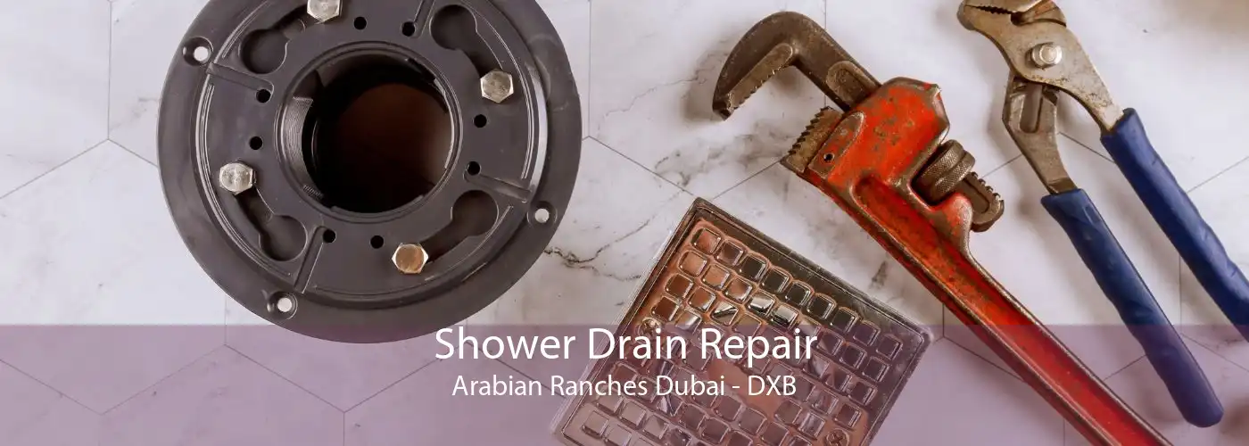Shower Drain Repair Arabian Ranches Dubai - DXB