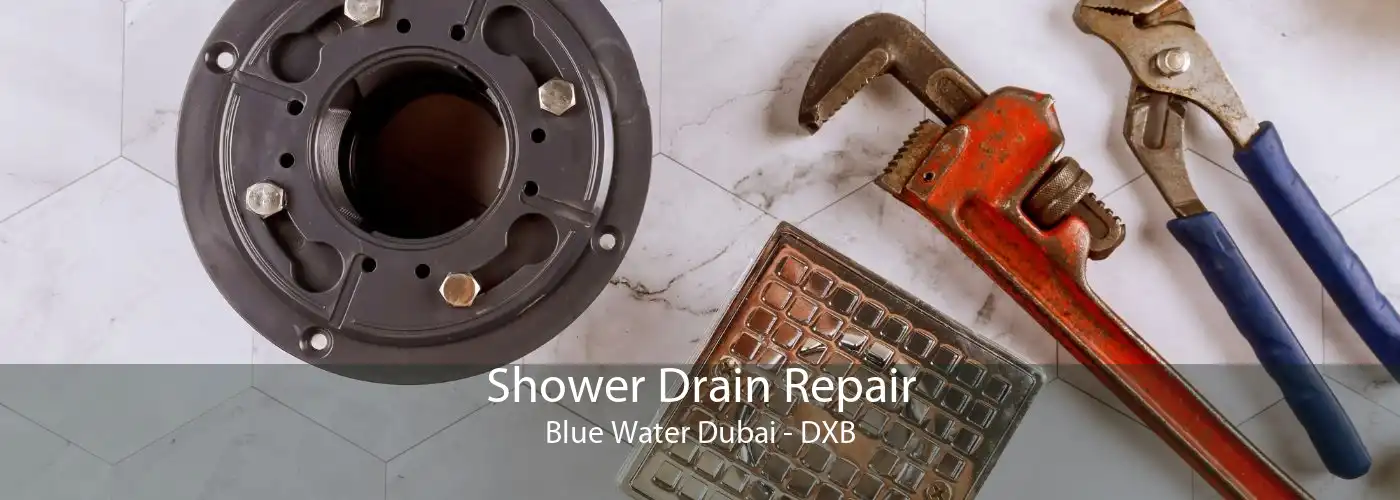 Shower Drain Repair Blue Water Dubai - DXB