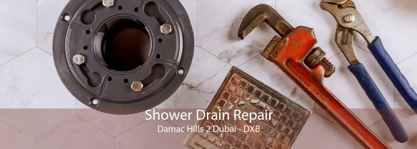 Shower Drain Repair Damac Hills 2 Dubai - DXB