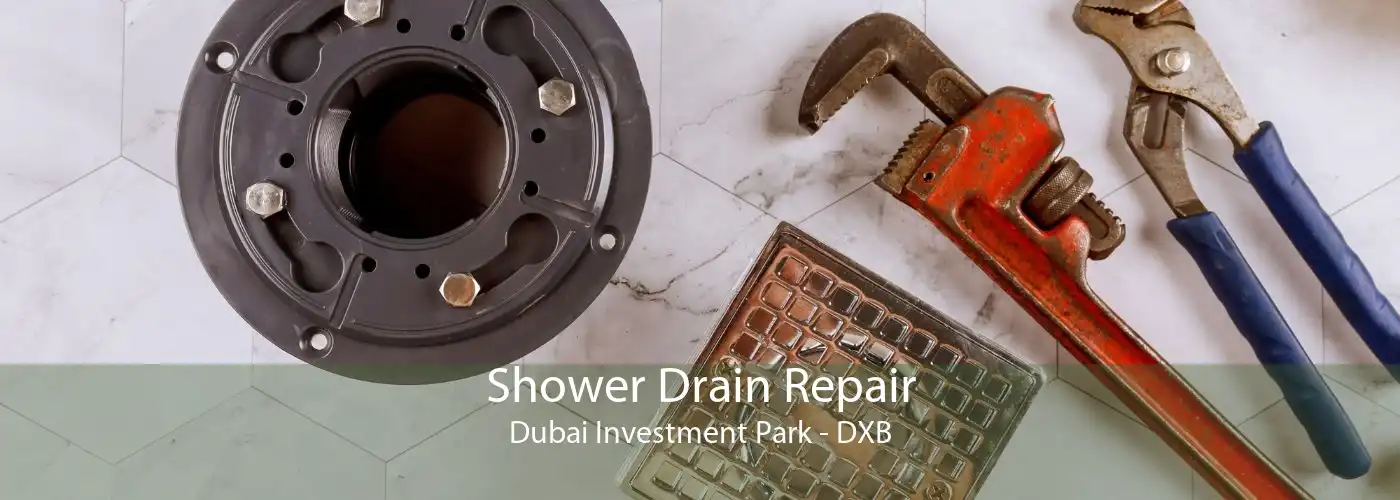 Shower Drain Repair Dubai Investment Park - DXB