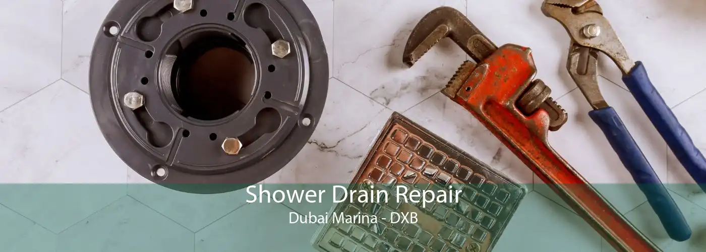 Shower Drain Repair Dubai Marina - DXB