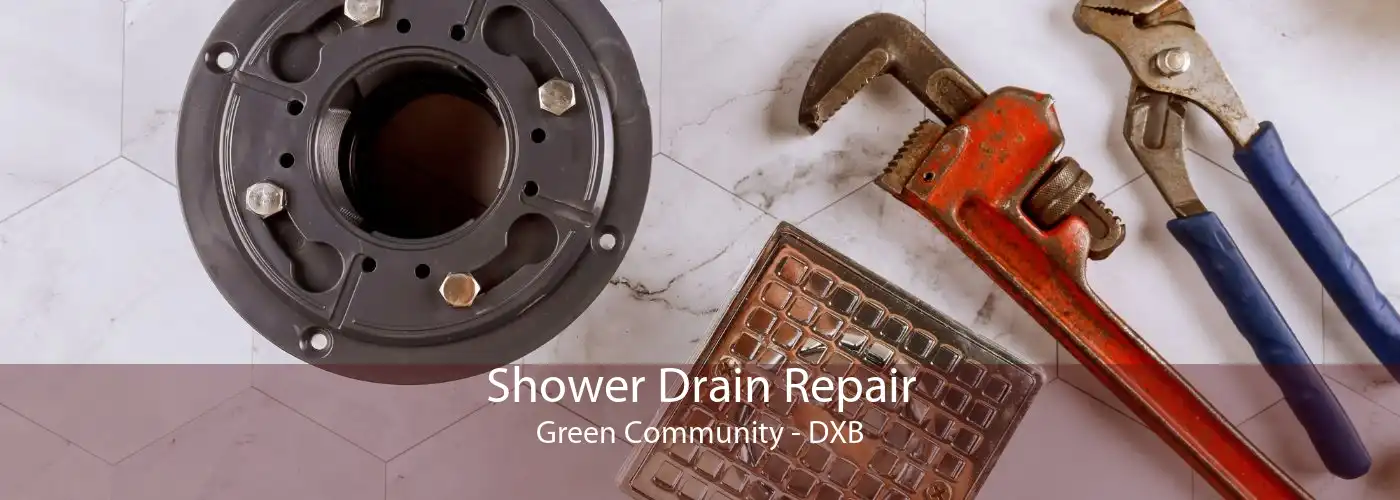 Shower Drain Repair Green Community - DXB