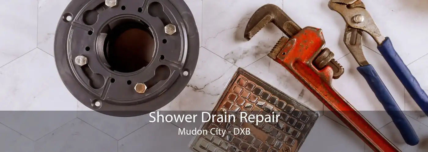 Shower Drain Repair Mudon City - DXB