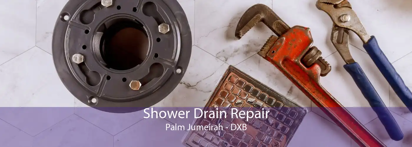 Shower Drain Repair Palm Jumeirah - DXB