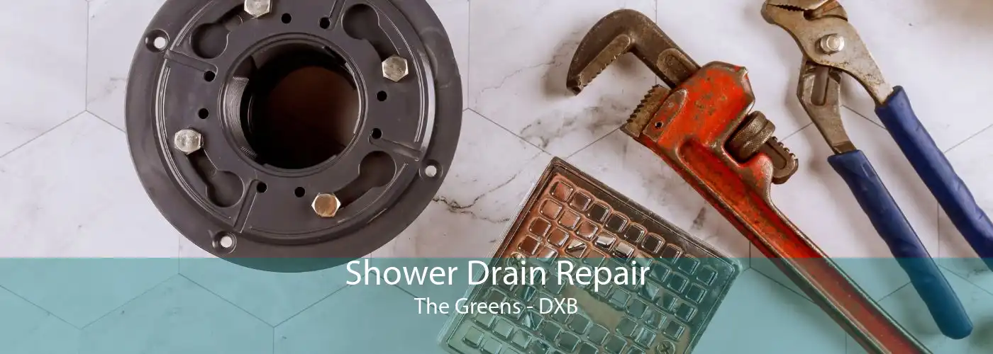 Shower Drain Repair The Greens - DXB