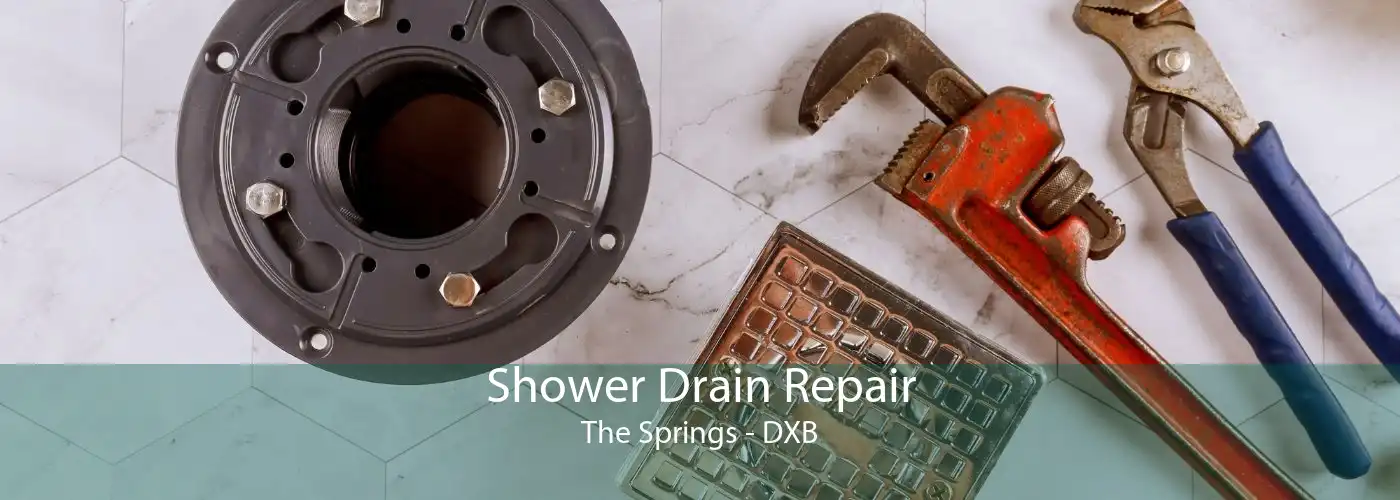 Shower Drain Repair The Springs - DXB
