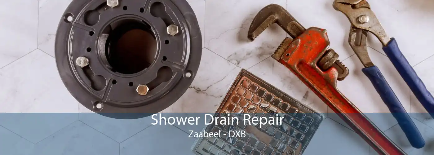 Shower Drain Repair Zaabeel - DXB