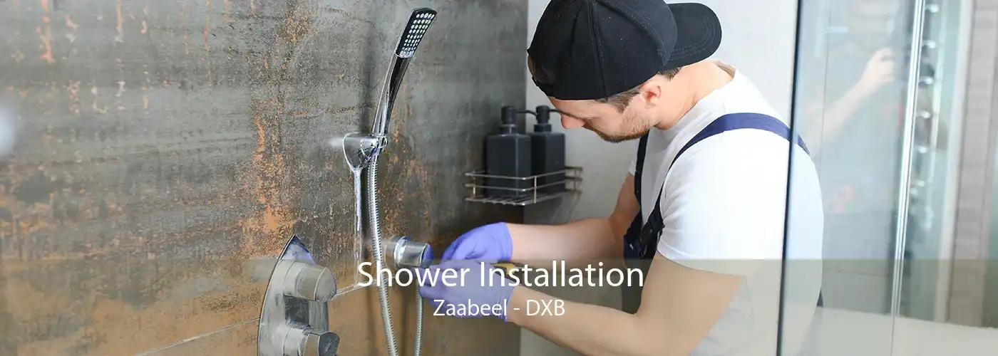 Shower Installation Zaabeel - DXB