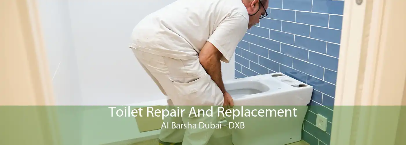 Toilet Repair And Replacement Al Barsha Dubai - DXB