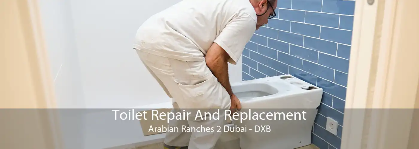 Toilet Repair And Replacement Arabian Ranches 2 Dubai - DXB