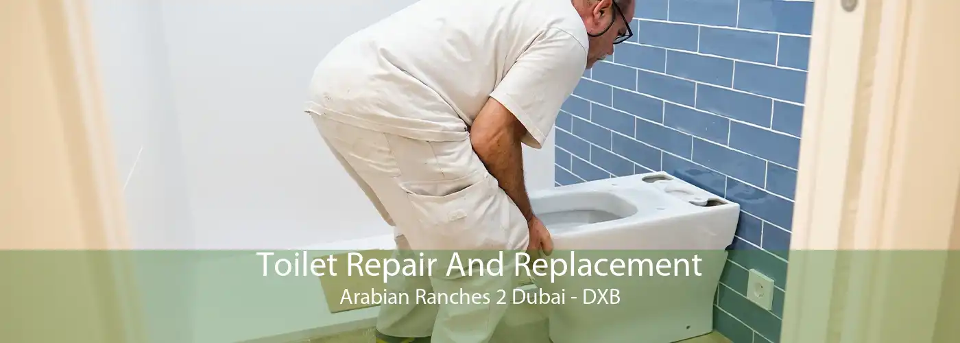 Toilet Repair And Replacement Arabian Ranches 2 Dubai - DXB