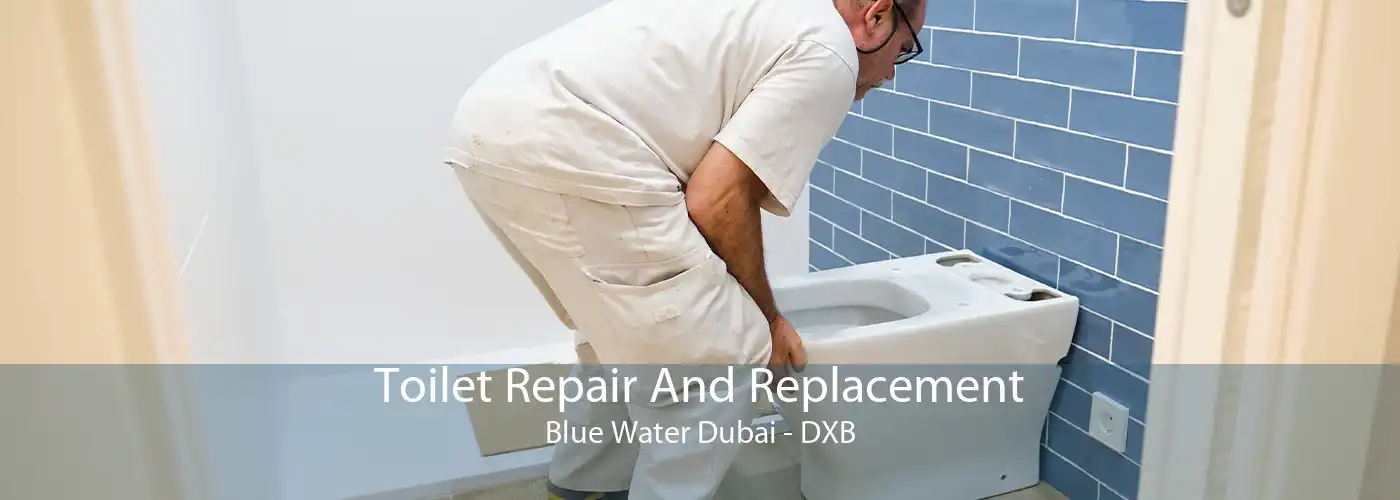 Toilet Repair And Replacement Blue Water Dubai - DXB