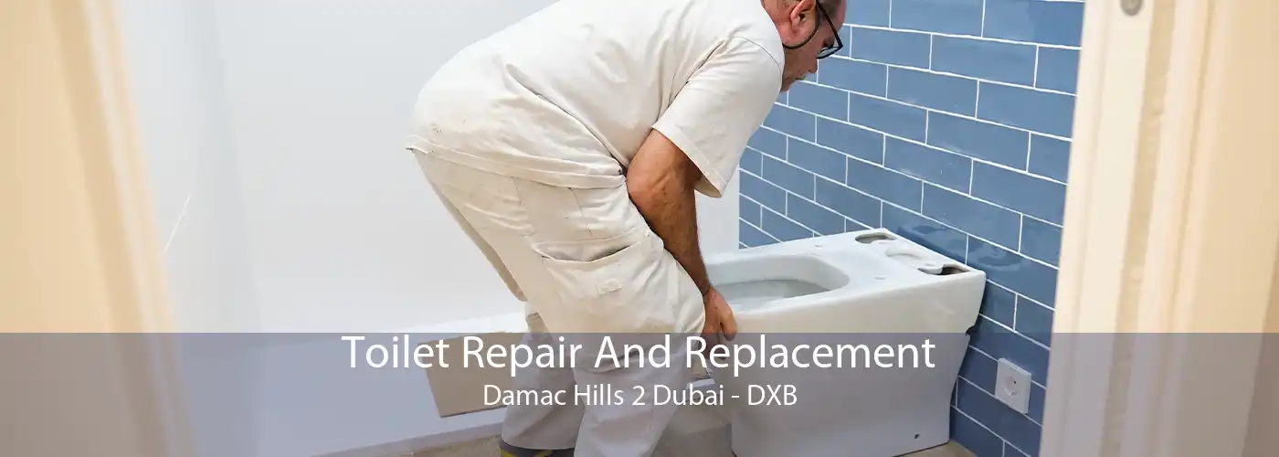Toilet Repair And Replacement Damac Hills 2 Dubai - DXB