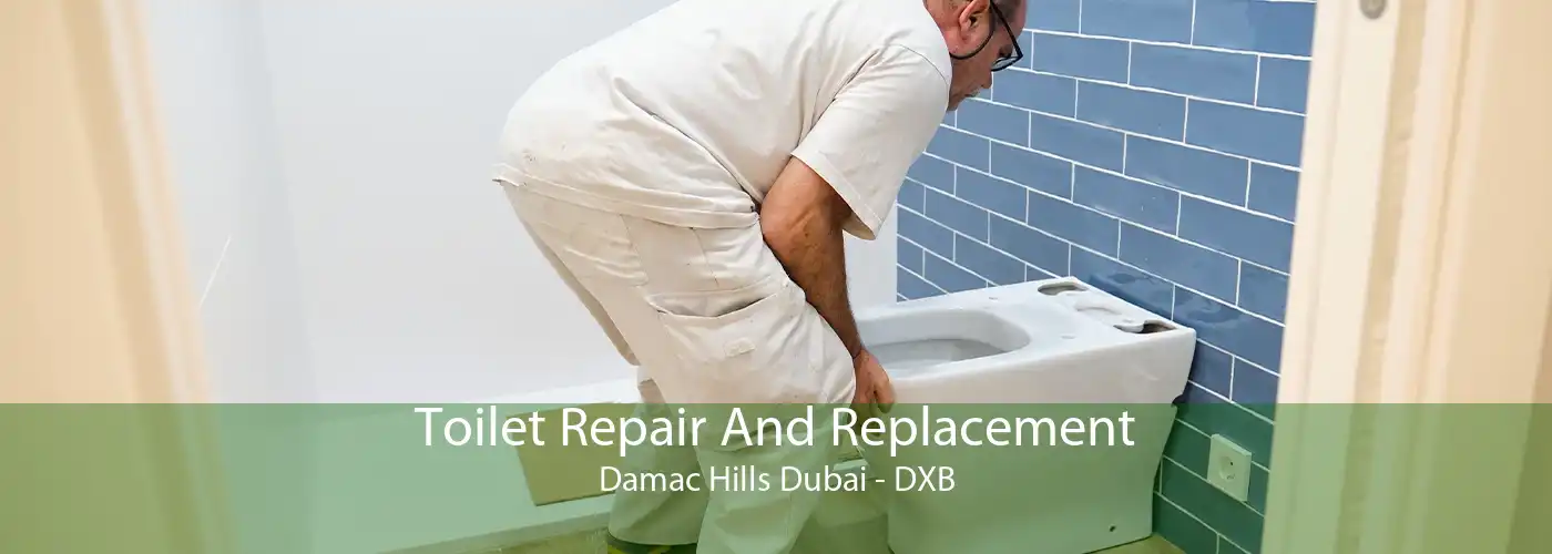 Toilet Repair And Replacement Damac Hills Dubai - DXB