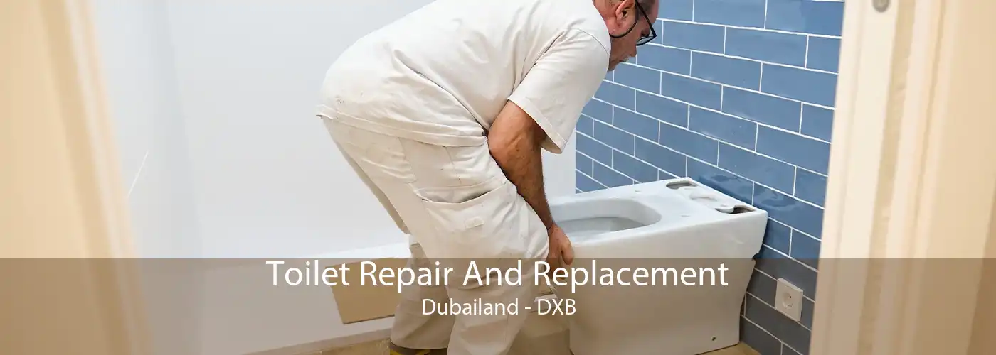 Toilet Repair And Replacement Dubailand - DXB