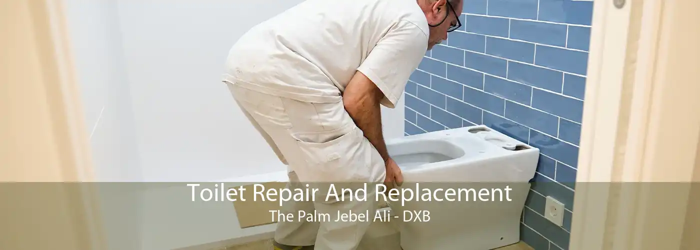 Toilet Repair And Replacement The Palm Jebel Ali - DXB
