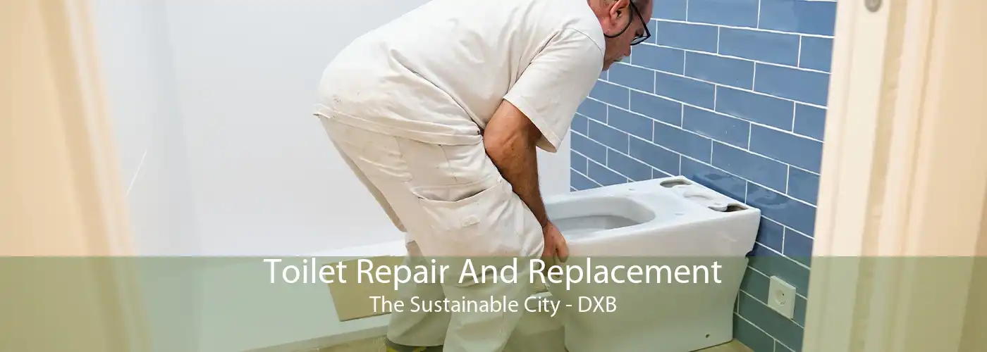 Toilet Repair And Replacement The Sustainable City - DXB