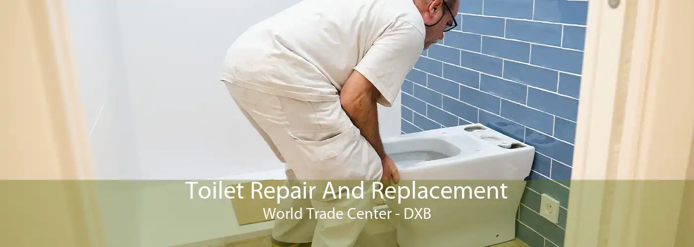 Toilet Repair And Replacement World Trade Center - DXB
