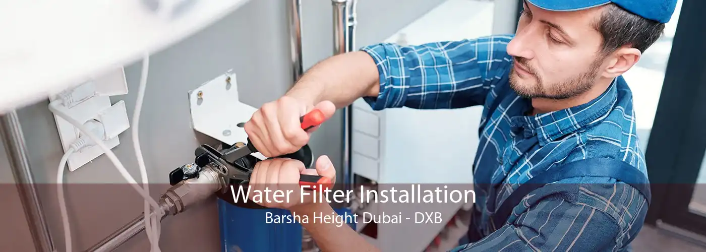 Water Filter Installation Barsha Height Dubai - DXB