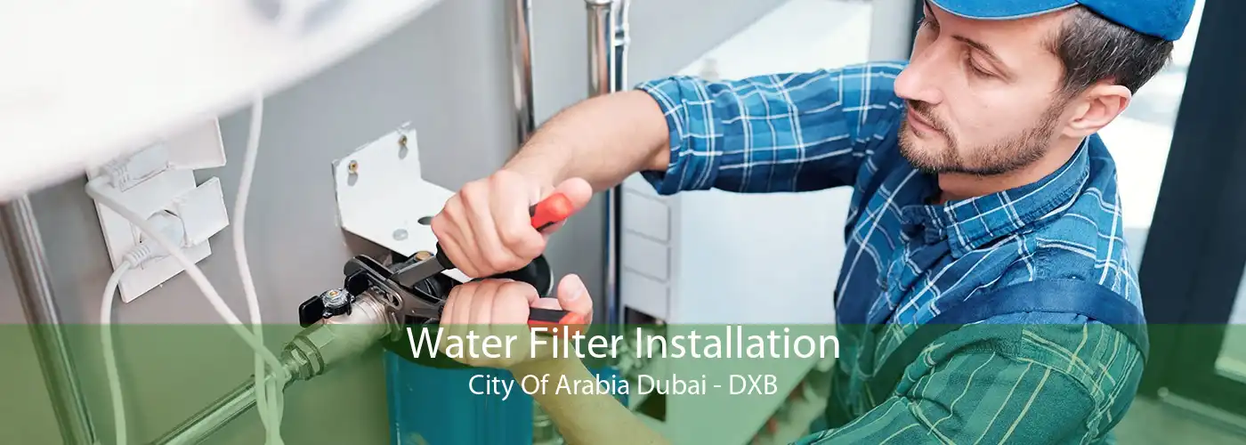 Water Filter Installation City Of Arabia Dubai - DXB