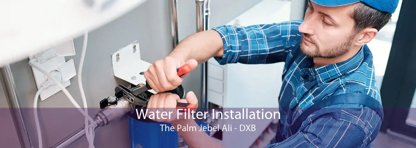 Water Filter Installation The Palm Jebel Ali - DXB