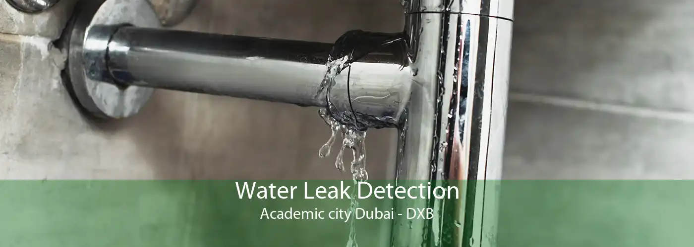 Water Leak Detection Academic city Dubai - DXB