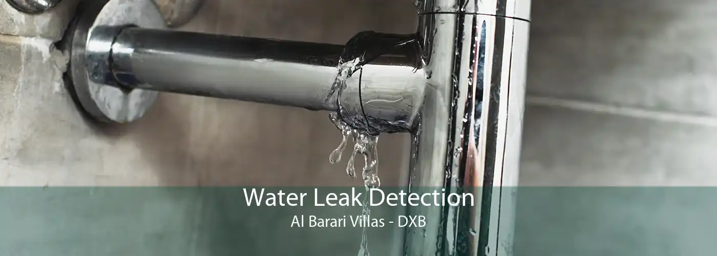 Water Leak Detection Al Barari Villas - DXB