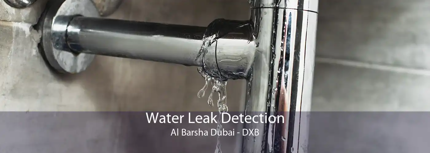 Water Leak Detection Al Barsha Dubai - DXB