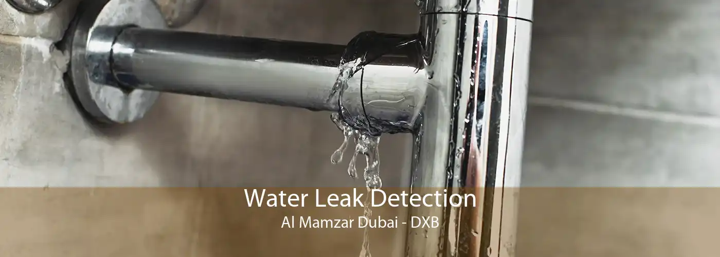 Water Leak Detection Al Mamzar Dubai - DXB