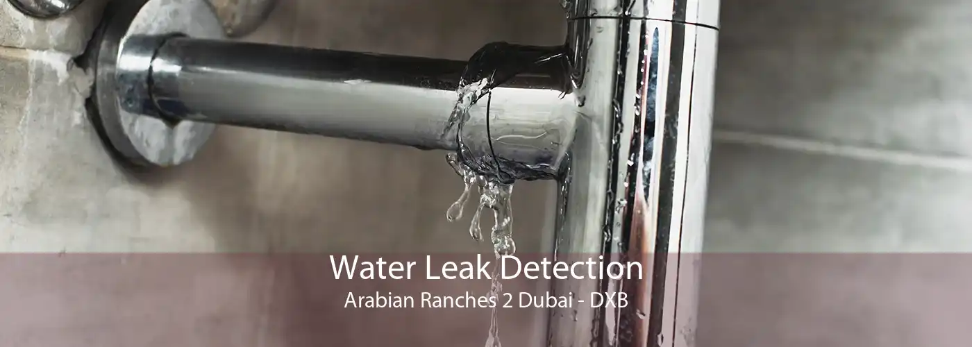 Water Leak Detection Arabian Ranches 2 Dubai - DXB