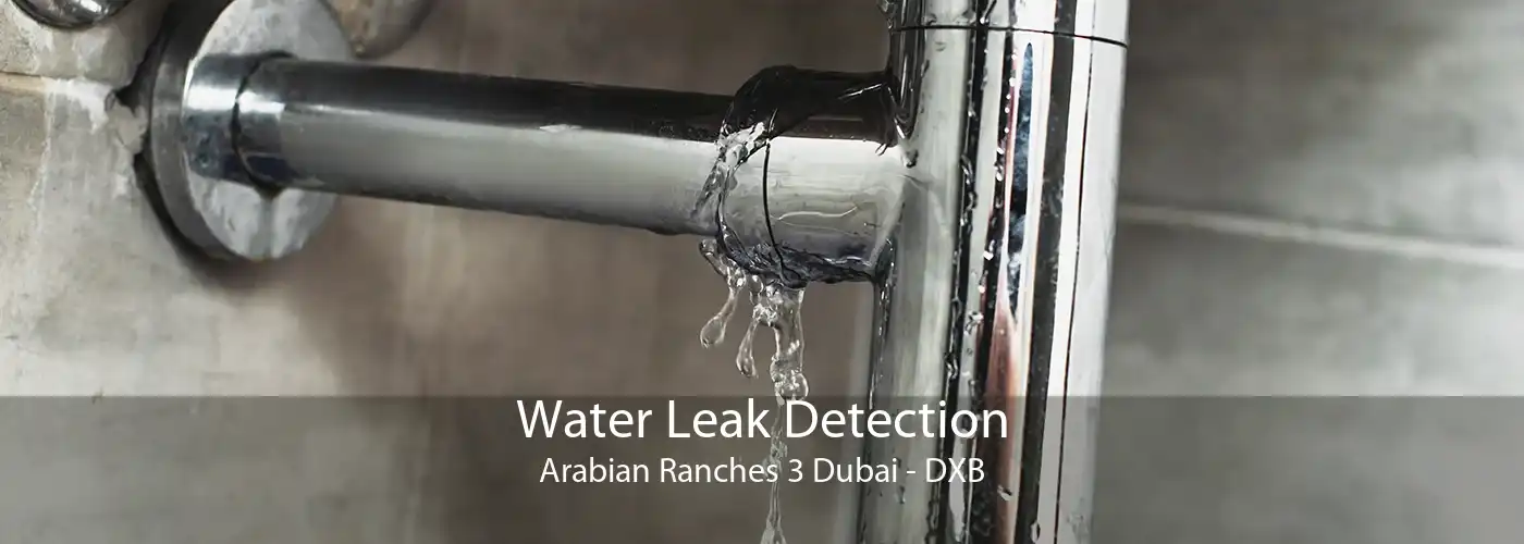 Water Leak Detection Arabian Ranches 3 Dubai - DXB