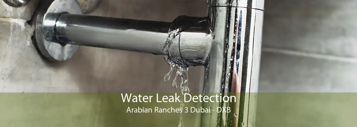 Water Leak Detection Arabian Ranches 3 Dubai - DXB