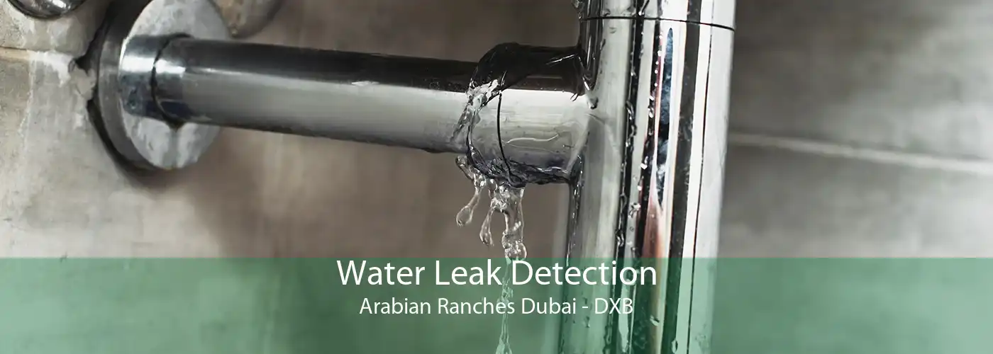Water Leak Detection Arabian Ranches Dubai - DXB