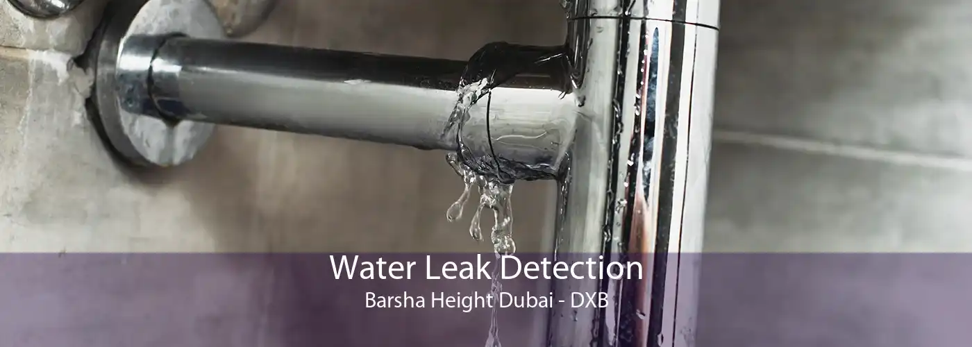 Water Leak Detection Barsha Height Dubai - DXB