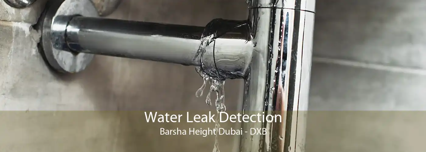 Water Leak Detection Barsha Height Dubai - DXB