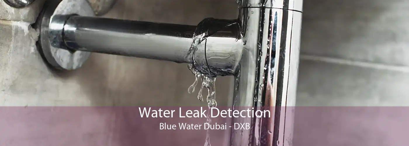 Water Leak Detection Blue Water Dubai - DXB