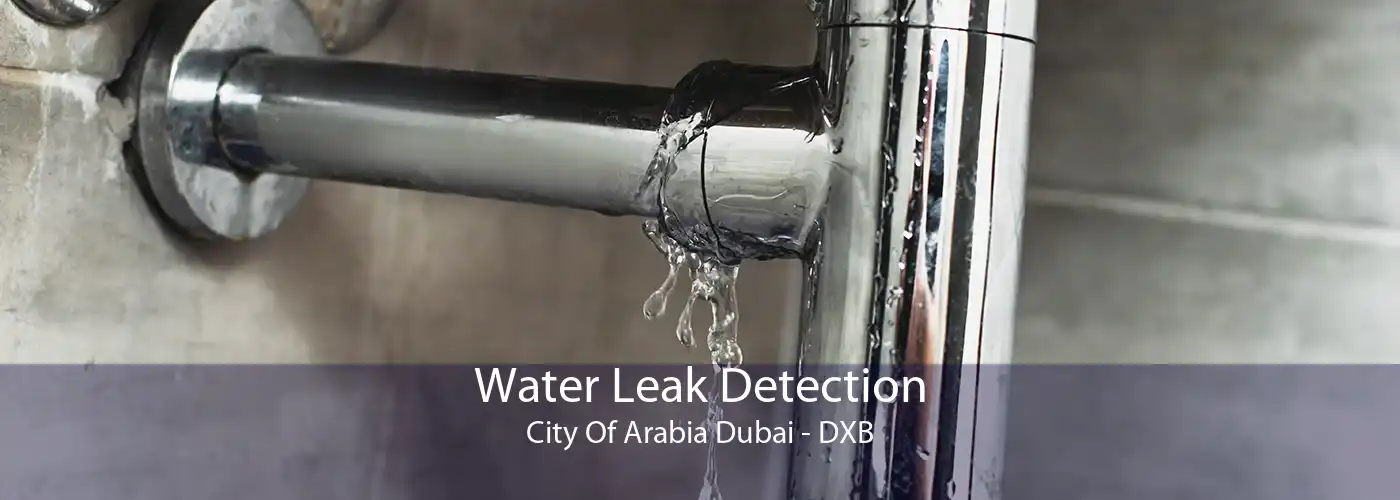 Water Leak Detection City Of Arabia Dubai - DXB