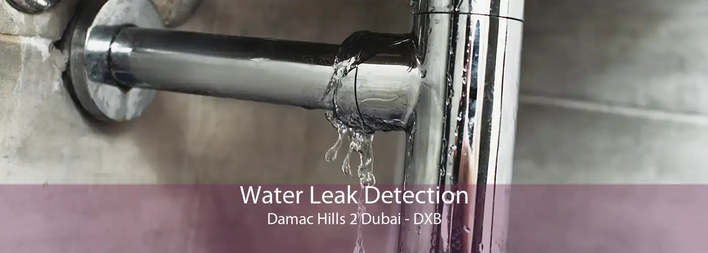 Water Leak Detection Damac Hills 2 Dubai - DXB