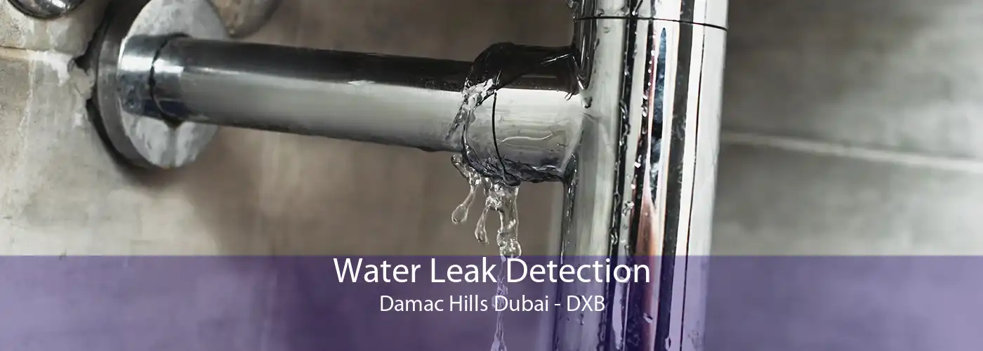 Water Leak Detection Damac Hills Dubai - DXB
