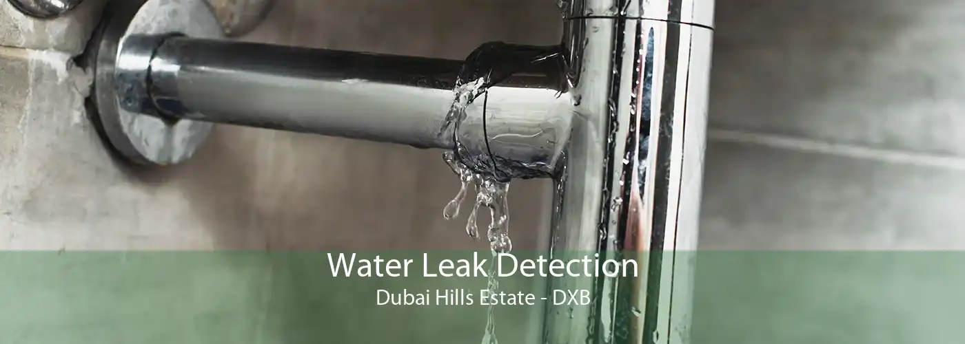 Water Leak Detection Dubai Hills Estate - DXB