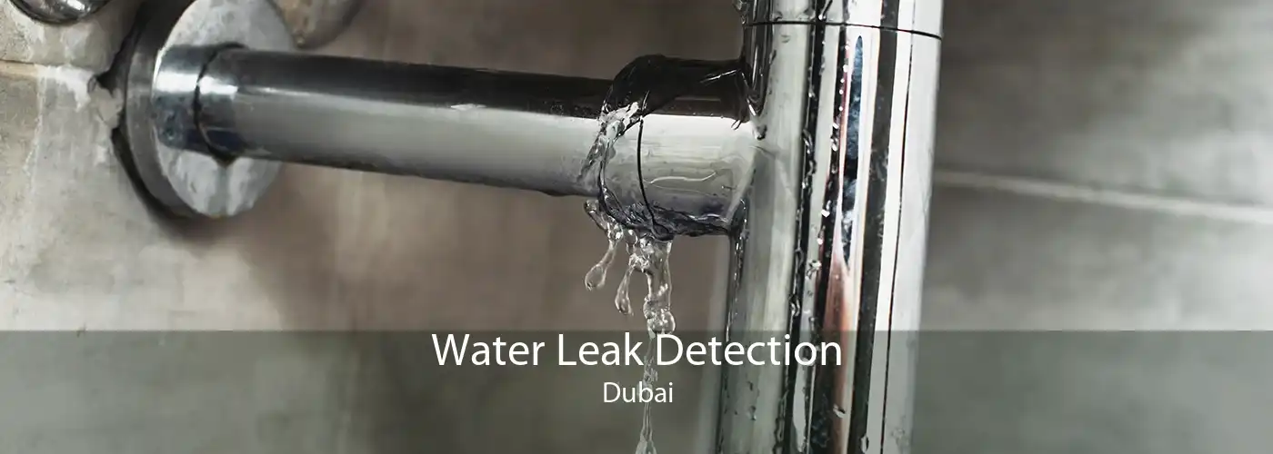 Water Leak Detection Dubai