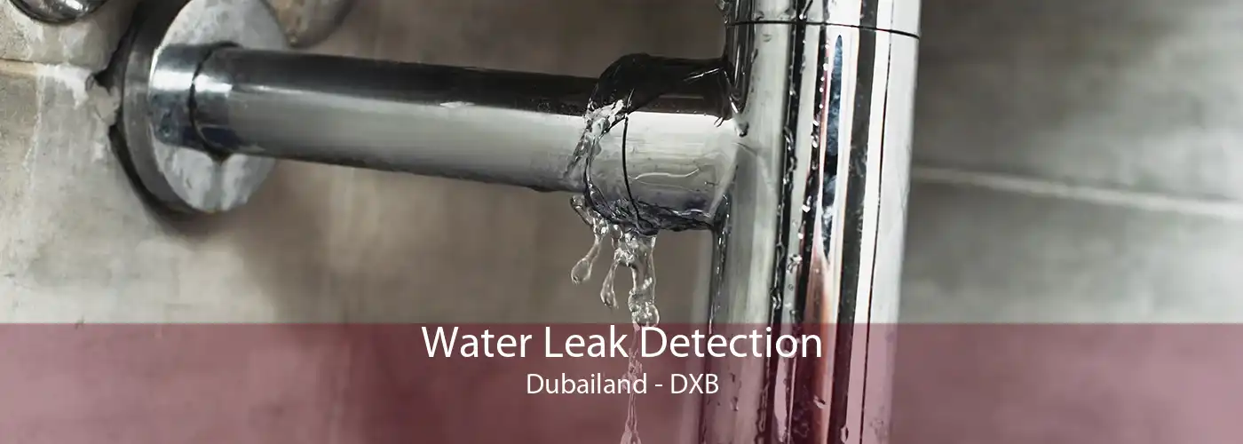 Water Leak Detection Dubailand - DXB