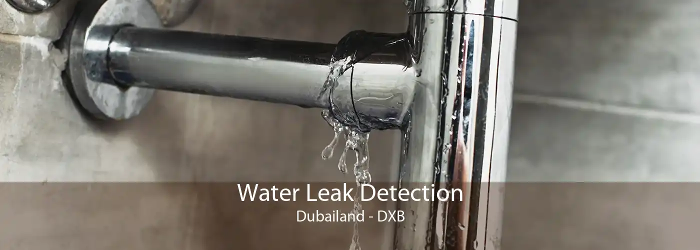 Water Leak Detection Dubailand - DXB